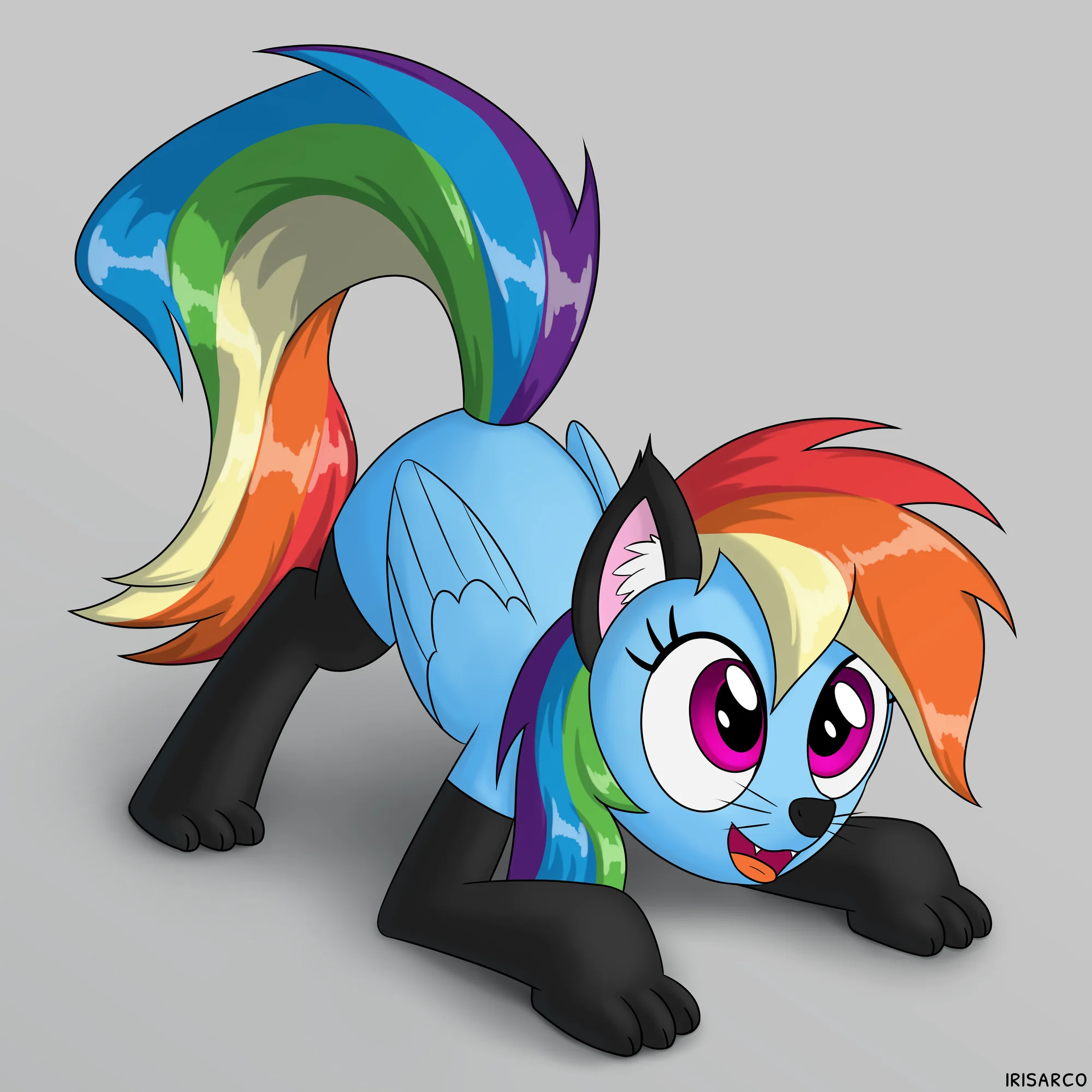 Dashcat (1/1)